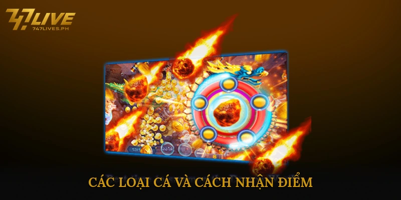 Các Loại Cá Và Cách Nhận Điểm