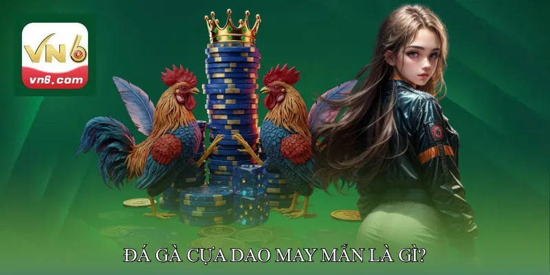 Đá gà cựa dao may mắn là gì?