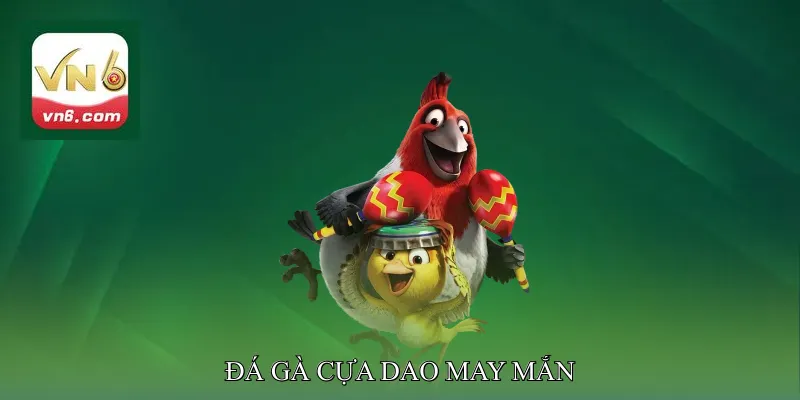 Đá gà cựa dao may mắn