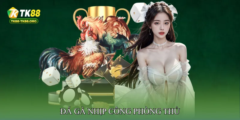 Đá gà nhịp công phòng thủ
