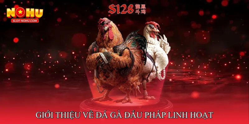Giới Thiệu Về Đá Gà Đấu Pháp Linh Hoạt