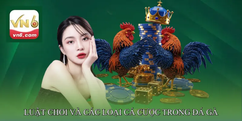 Luật chơi và các loại cá cược trong đá gà cựa dao
