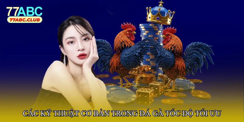 Các kỹ thuật cơ bản trong Đá gà tốc độ tối ưu