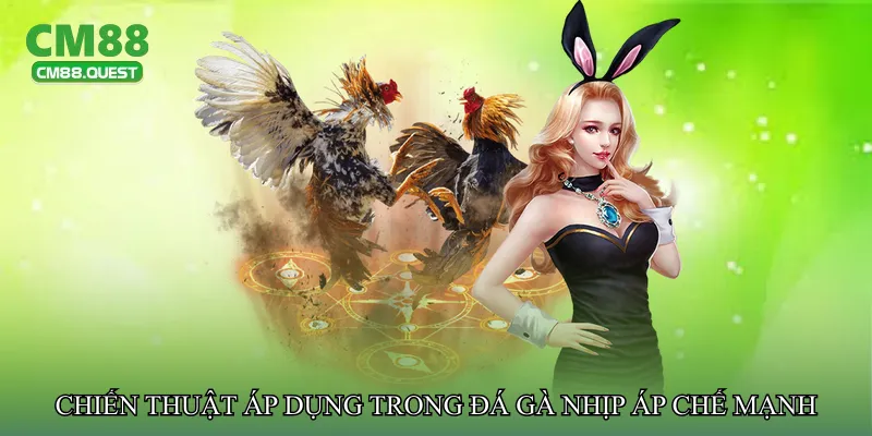 Chiến thuật áp dụng trong Đá gà nhịp áp chế mạnh