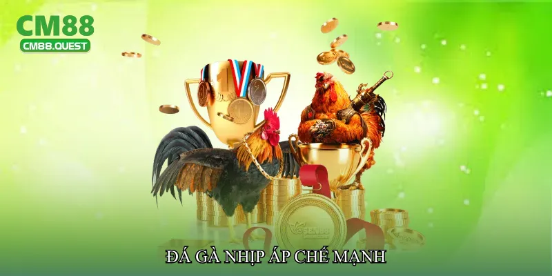 Đá gà nhịp áp chế mạnh