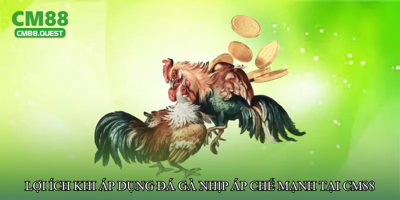 Lợi ích khi áp dụng Đá gà nhịp áp chế mạnh tại CM88