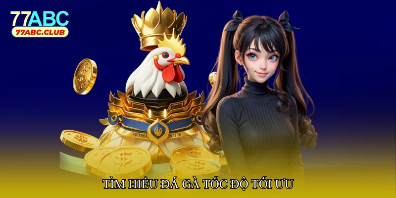 Tìm hiểu Đá gà tốc độ tối ưu